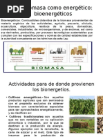 Biomasa Como Energetico