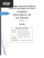 Unidad 1 Analisis Descriptivo de Las Pymes