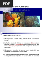 03 Aula de Porifera