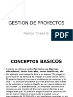 Gestion de Proyectos