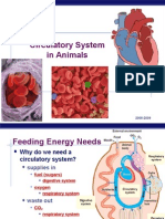 Circulatory System in Animals: Regents Biology