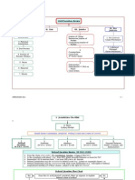 Civ Pro Flowchart-1