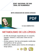 Clase 12. Beta Oxidacion