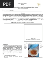 Análisis Gravimétrico de Hierro Como Fe2O3 en Grajeas de Sulfato Ferroso