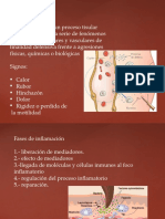 Presentación de Proceso Inflamatorio.