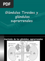 Fisiologia Tiroidea y Suprarrenal