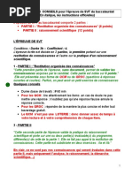 Consignes Et Conseils 1eres Et Terms