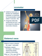 Miscarea Sistemul Locomotor