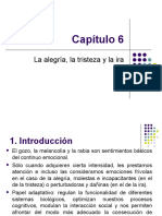 Tema 6 La Alegria La Tristeza y La Ira