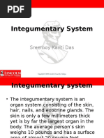 Integumentary System: Sreemoy Kanti Das