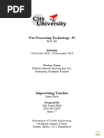 Wet Processing Technology-Internship Report PDF