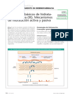 Conceptos de Hidratación Activa y Pasiva