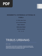 Ensayo "Las Tribus Urbanas"