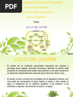 Ciclo Del Azufre (Presentacion)