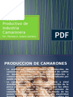 Proceso Productivo de Industria Camaronera