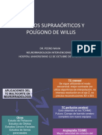 31 Trocos Supraaorticos y Poligonos de Willis