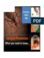 Know About Dengue