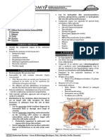 (ANA) 5.02.2 Endocrine System - Tan