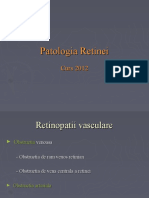 Patologia Retinei