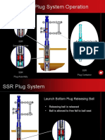 Typical SSR Plug System Operation