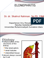 Pyelonephritis