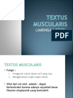 Textus Muscularis