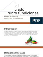 Material Particulado Fundición