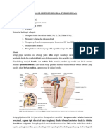 Histologi Sistem Urinaria