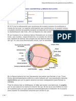 Ojo Humano PDF