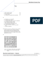 The Umbrella: Worksheet Answer Key