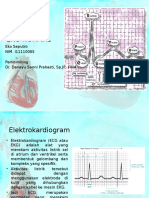 EKG NORMAL Referat Eko