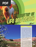 A Matter of Life and Death