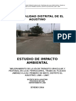 Informe Impacto Ambiental