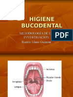 Higene Bucodental (Beita)