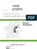 Antegrade Pyelography