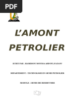 L'amont Petrolier