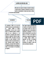 Mapa Conceptual de Replicacion de ADN