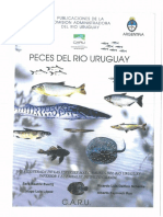 Peces Del Rio Uruguay