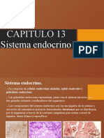 Histologia Del Sistema Endocrino