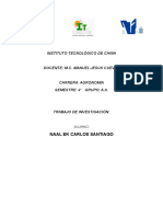 4.2 El Principio de La Subsidiariedad