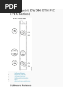 100-Gigabit DWDM Otn Pic