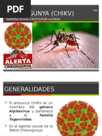 Virus de Chikungunya