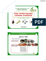 Aula 10 Insecta