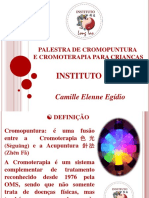 Palestra Cromopuntura 2