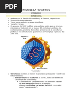 Virus de La Hepatitis C