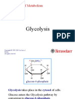 Glycolysis: Biochemistry of Metabolism