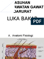 KGD Luka Bakar