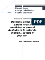 Determinación de Parámetros y Condiciones para El Deshidratado Solar de Mango