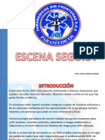 Escena Segura PSF