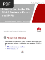 Introduction To The RAN14.0 Feature-Enhanced IP PM